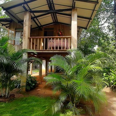 Ruk Sewana Villa Tree House Sigiriya Exteriér fotografie