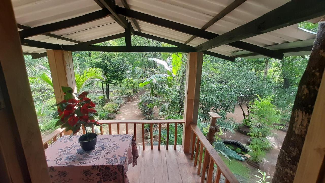 Ruk Sewana Villa Tree House Sigiriya Exteriér fotografie
