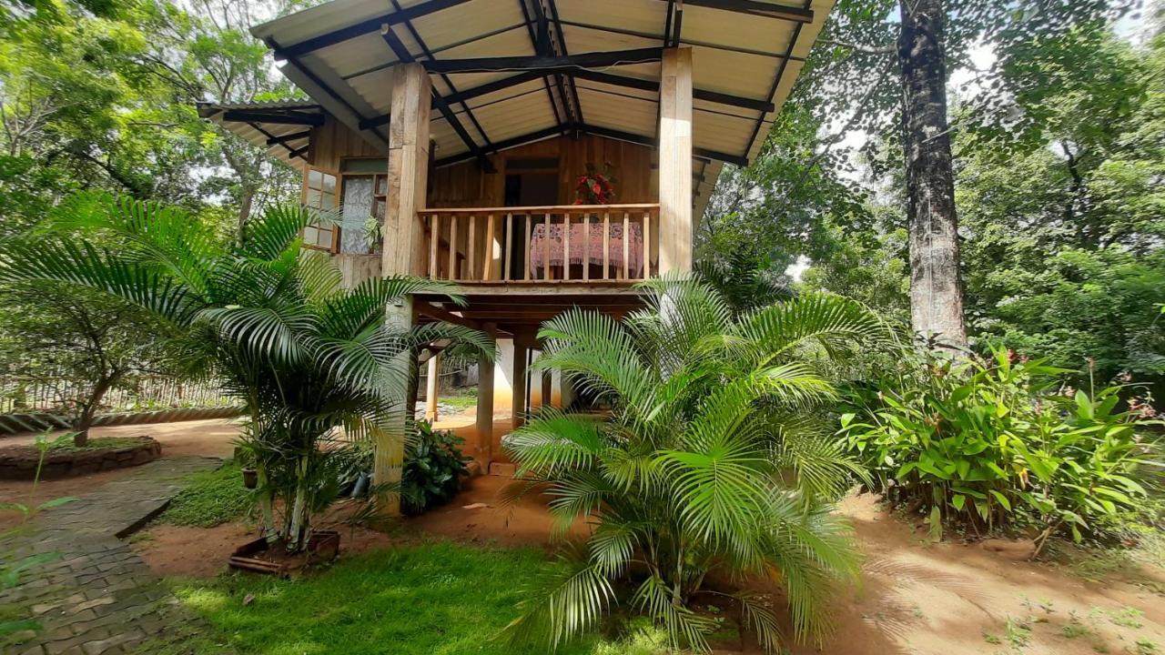 Ruk Sewana Villa Tree House Sigiriya Exteriér fotografie