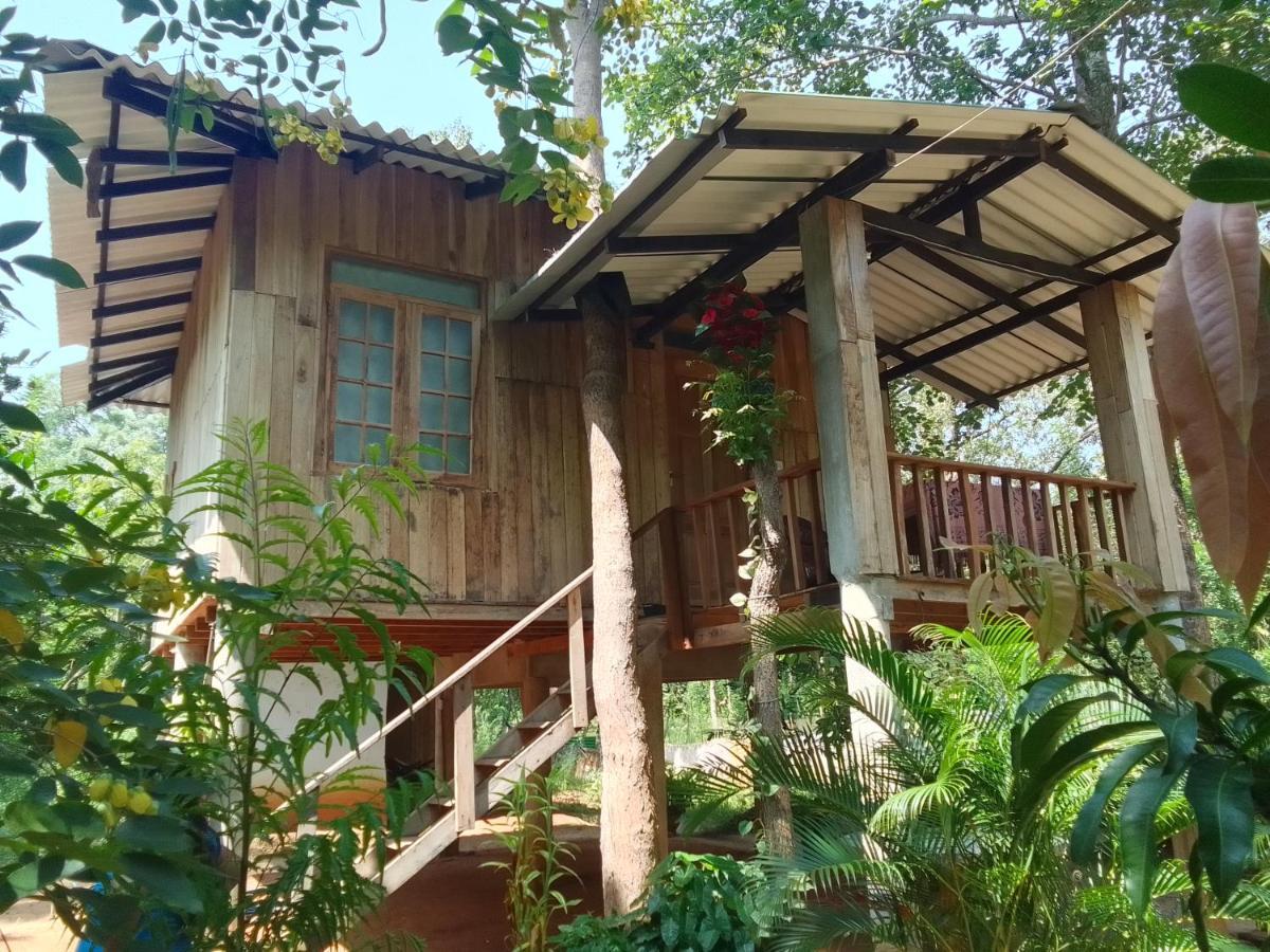 Ruk Sewana Villa Tree House Sigiriya Exteriér fotografie