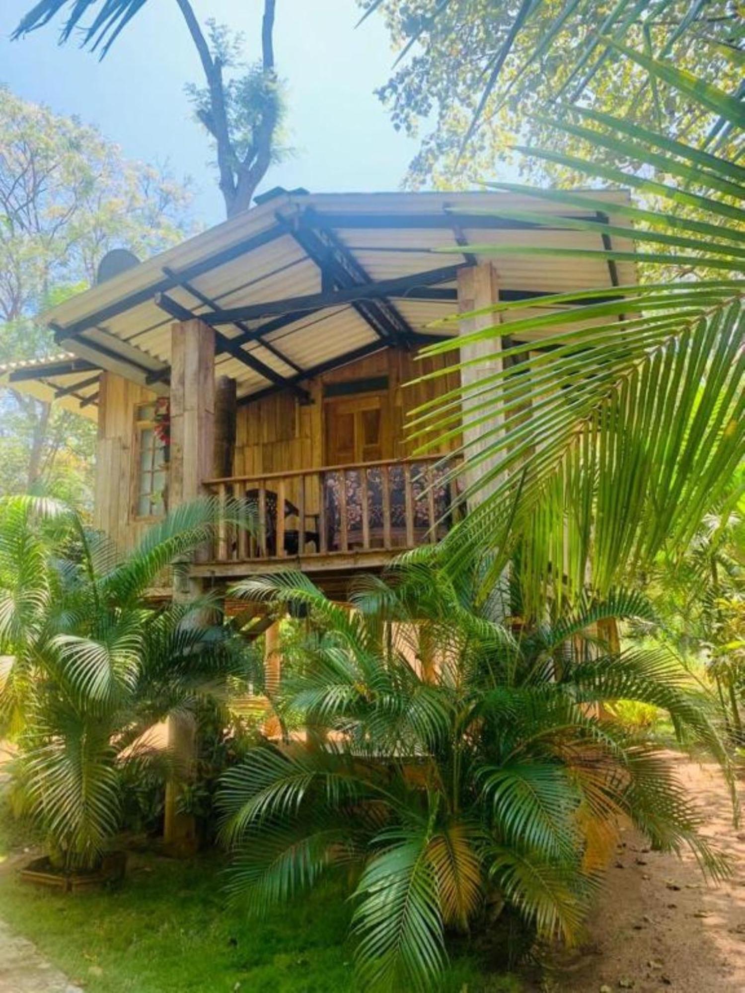 Ruk Sewana Villa Tree House Sigiriya Exteriér fotografie